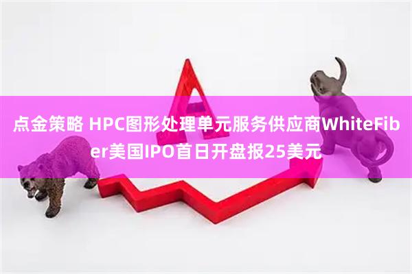 点金策略 HPC图形处理单元服务供应商WhiteFiber美国IPO首日开盘报25美元