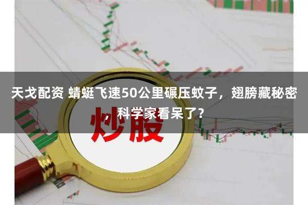 天戈配资 蜻蜓飞速50公里碾压蚊子，翅膀藏秘密，科学家看呆了？