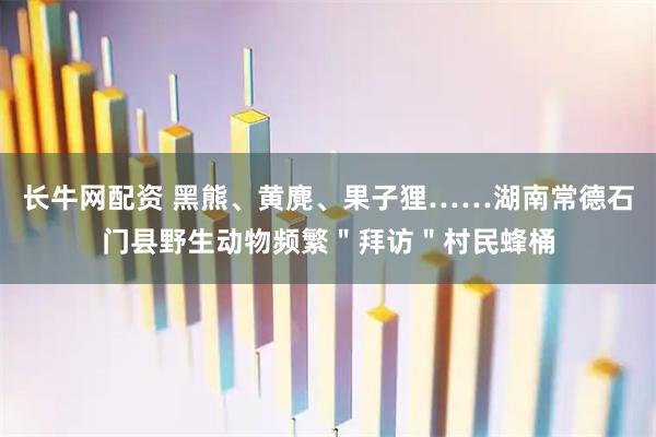 长牛网配资 黑熊、黄麂、果子狸……湖南常德石门县野生动物频繁＂拜访＂村民蜂桶