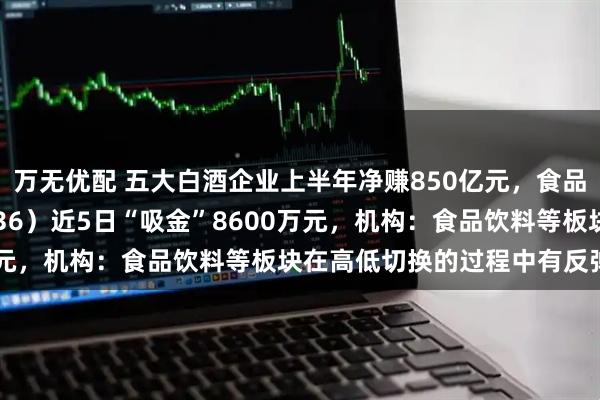 万无优配 五大白酒企业上半年净赚850亿元，食品饮料ETF天弘（159736）近5日“吸金”8600万元，机构：食品饮料等板块在高低切换的过程中有反弹需求