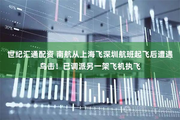 世纪汇通配资 南航从上海飞深圳航班起飞后遭遇鸟击！已调派另一架飞机执飞